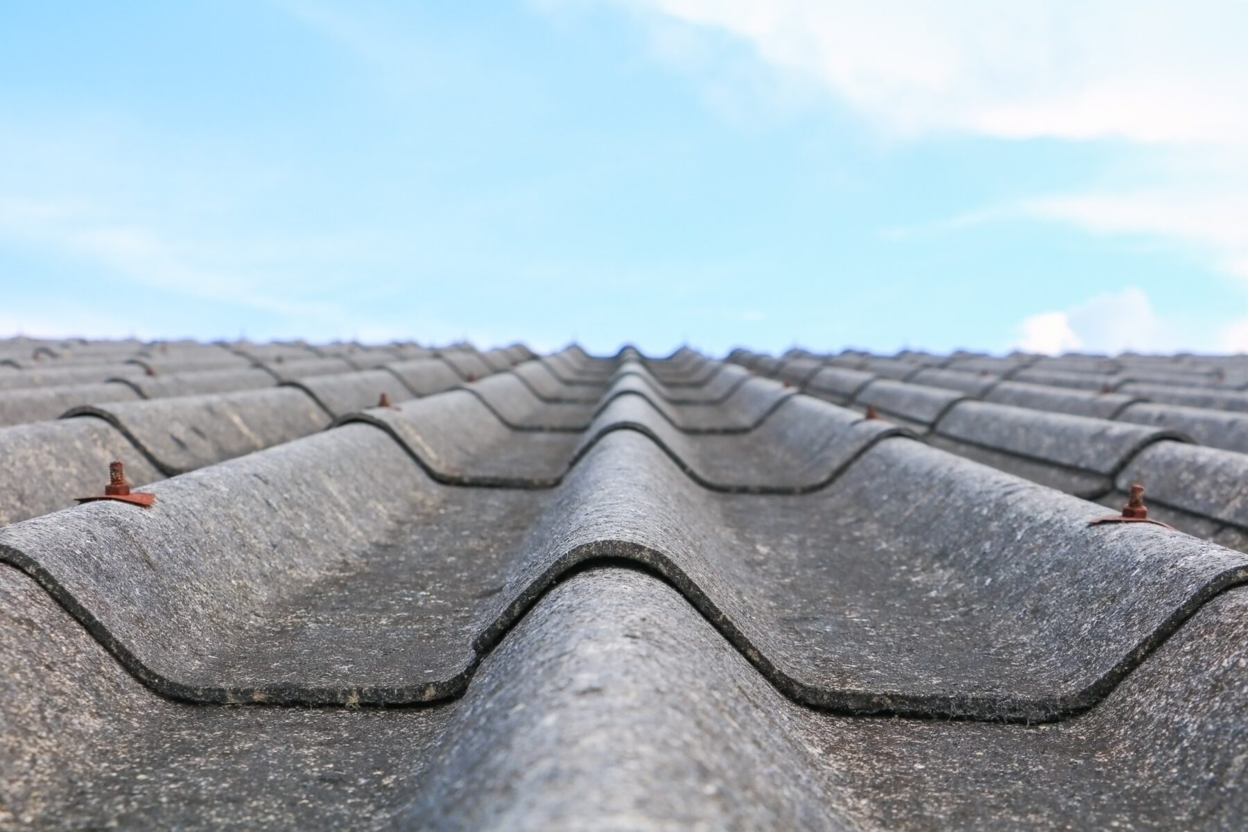 屋根と防水・雨漏り : 重要なポイントと自己点検の重要性